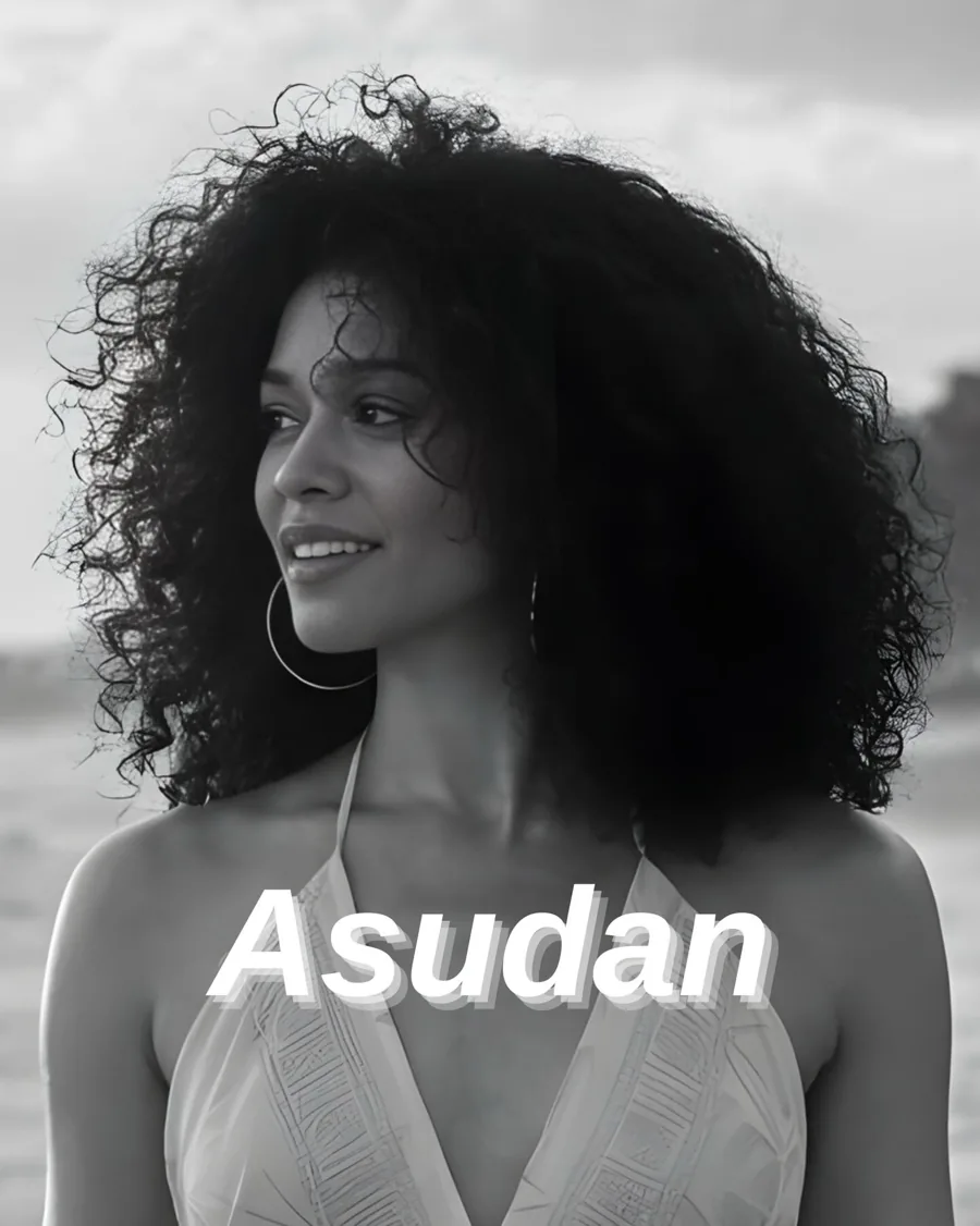 Asudan — Moda çalışması